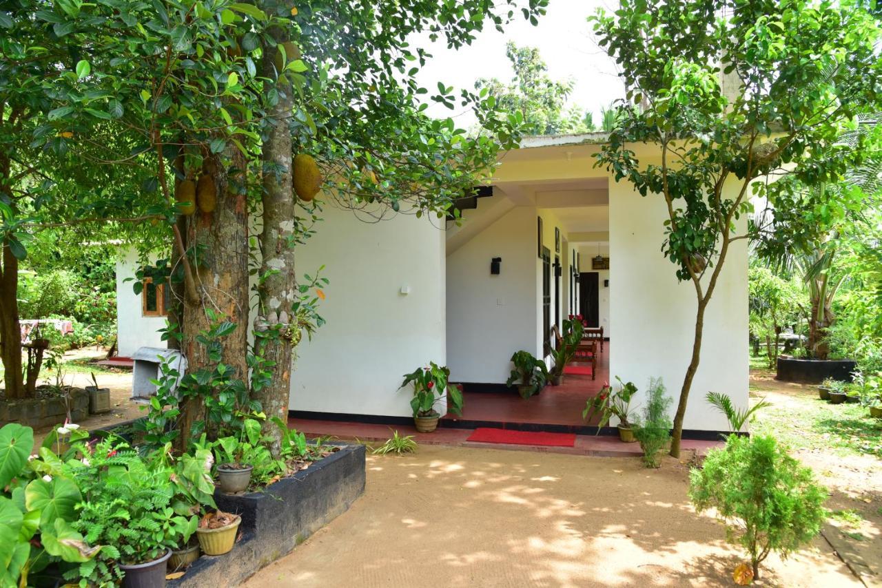 Smashing Inn Dambulla Exterior foto