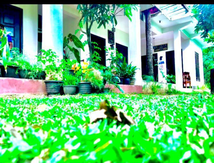 Smashing Inn Dambulla Exterior foto